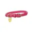 Digby and Fox Rolled Leather Dog Collar in Pink